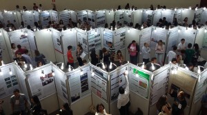 Foto: Divulgação.