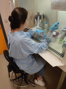 Pesquisa da UFSC destaca potencial de um anti-inflamatório com menos efeitos colaterais Pesquisa da UFSC destaca potencial de um anti-inflamatório com menos efeitos colaterais