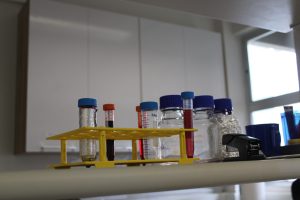 Pele descartada de procedimentos estéticos contém célula capaz de reparar tecidos lesionados Pele descartada de procedimentos estéticos contém célula capaz de reparar tecidos lesionados