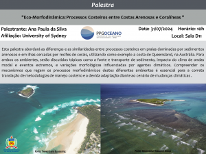 Palestra em Eco-Morfodinâmica (Oceanografia) @ Sala D11, Bloco D, CFM