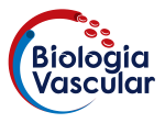 VII Simpósio de Biologia Vascular @ Auditório do Centro de Ciências Biológicas (CCB)