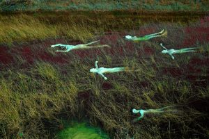 Exposição 'Sonhar o Rio: do direito à luta pela paisagem' @ O Museu de Arqueologia e Etnologia da UFSC (MArquE/UFSC)