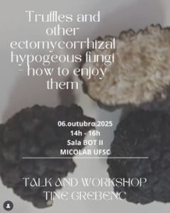 Palestra e workshop: 'Trufas e outros fungos hipógeos ectomicorrízicos e como apreciá-los' @ Sala BOT II - Departamento de Botânica